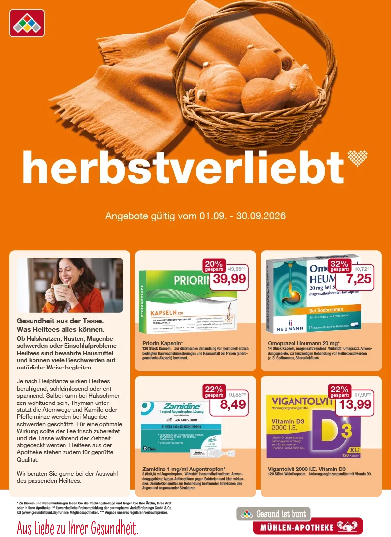 Flyer mit September-Angeboten